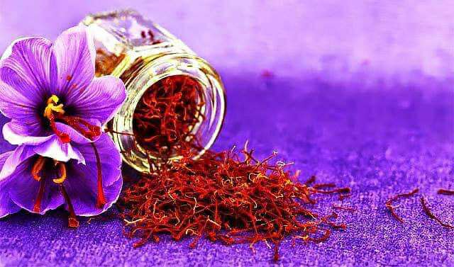  Серпень – найкращий час, щоб садити крокуси