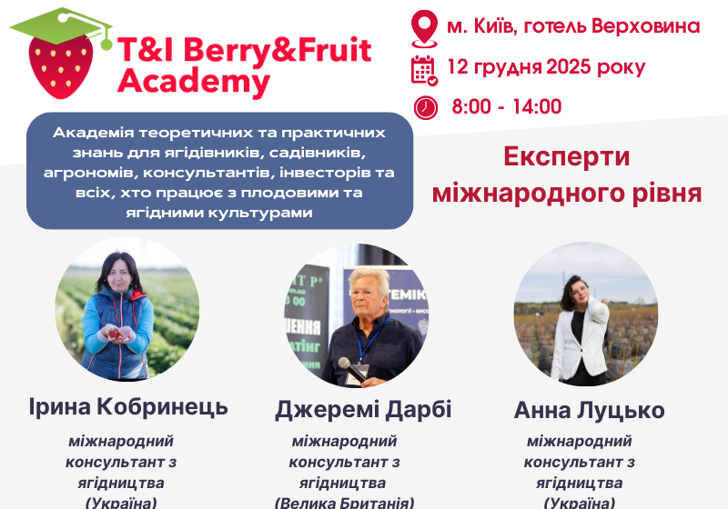  Суниця, малина, лохина – який бізнес найкращий?