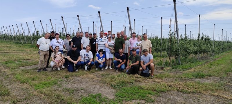  Успішне садівництво: практичні кейси та цінний досвід