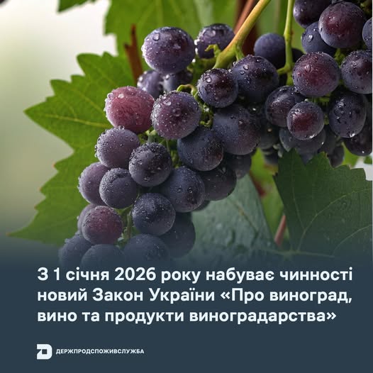  З наступного року набуде чинності новий Закон України «Про виноград, вино та продукти виноградарства»