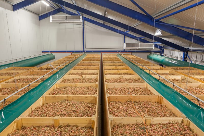  Від зберігання – до переробки: як «Толсма Текнік» допомагає українським фермерам збільшити прибуток