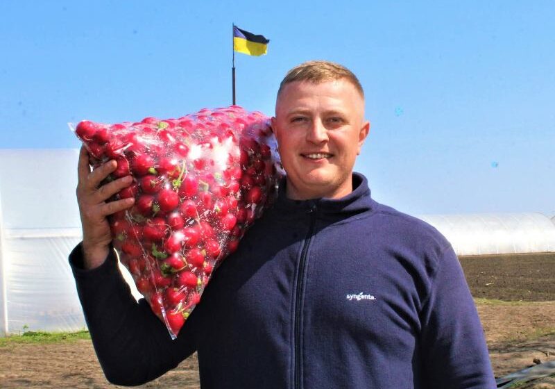  Сучасні теплиці та стійкість до викликів: як вирощують овочі на підприємстві, що розпочало новий шлях на Тернопільщині