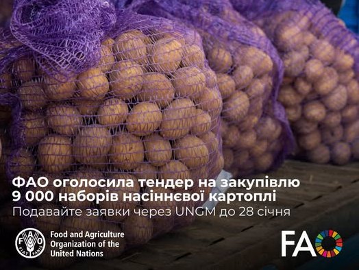  ФАО планує закупити 9 тис. наборів насіннєвої картоплі для Дніпропетровської та Миколаївської областей