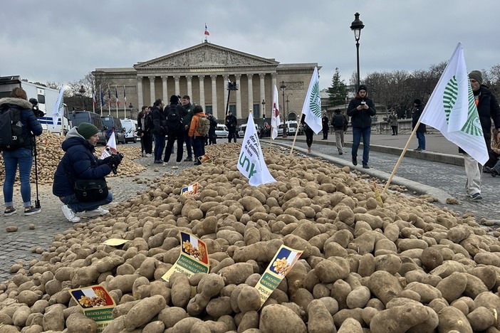  У Франції протестували виробники картоплі