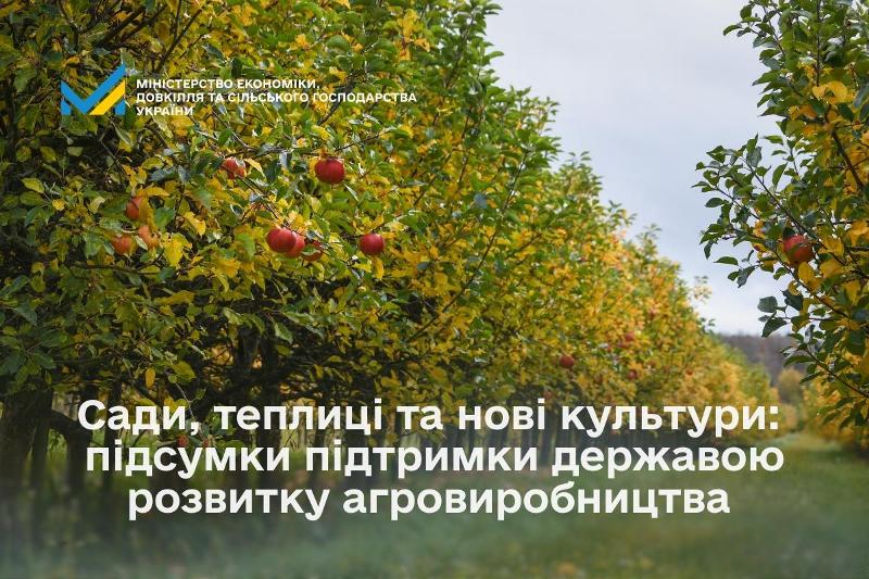  Сади, теплиці та нові культури: підсумки підтримки державою розвитку агровиробництва