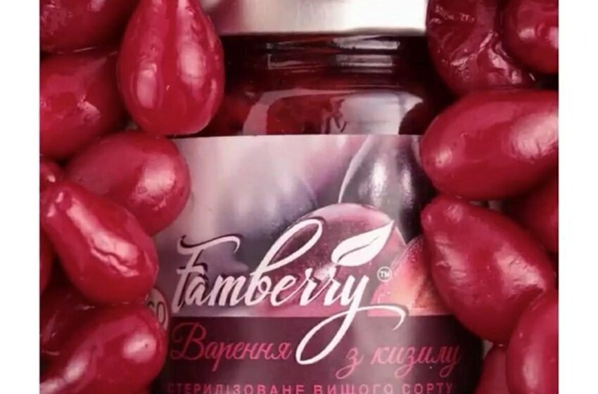  Відкрито збір на відновлення переробного підприємства Famberry, зруйнованого під час обстрілів у Запоріжжі