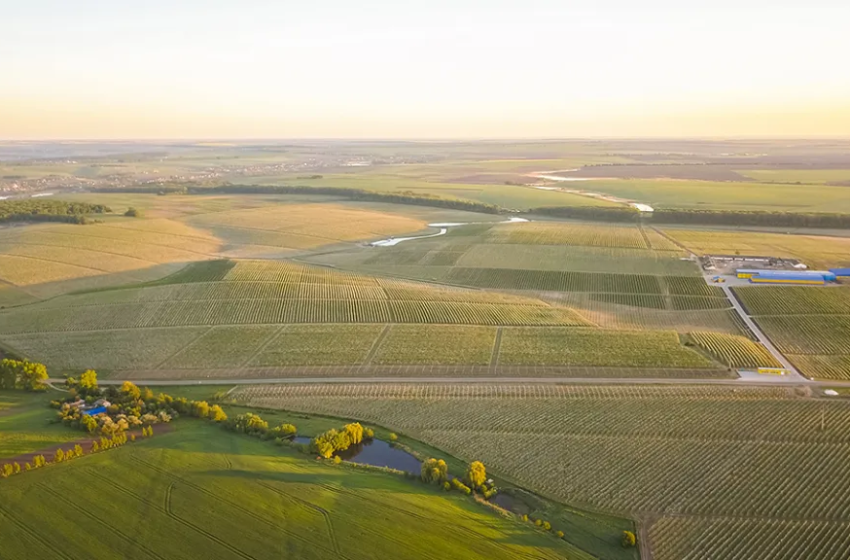  ФГ «Гадз»: від саджанця до готового продукту — бізнес-тур HortiTech Ukraine 2026