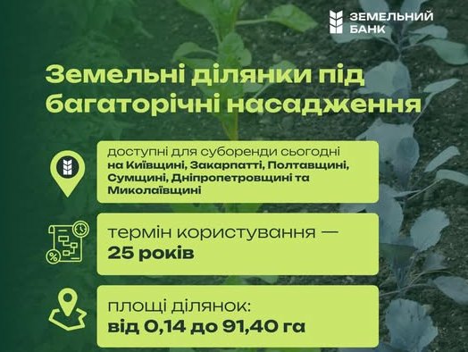  “Земельний банк” виставив на торги ділянки під багаторічні насадження