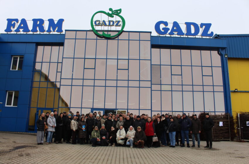  Ринки ЄС, Великобританії та США – перспективні для українських яблук