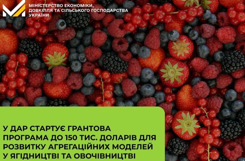  У ДАР стартує грантова програма для розвитку агрегаційних моделей у ягідництві та овочівництві