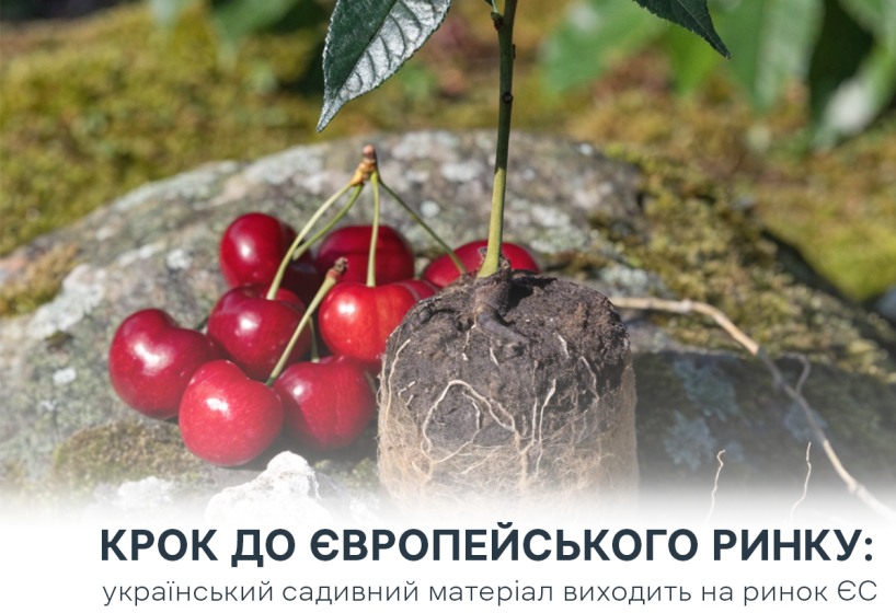  Україна відкриває нові можливості для експорту садивного матеріалу до ЄС