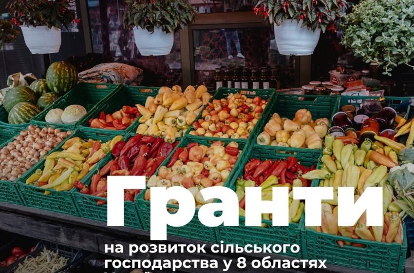  Триває прийом заявок для участі у програмі підтримки малих агровиробників