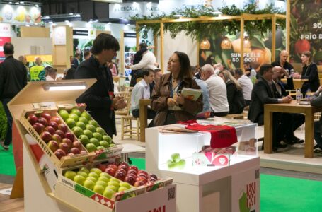 Виставка Fruit Attraction 2026 готується до відкриття: виставкові площі заповнені на понад 90 %