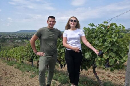 Виноробня KRITSKI планує розширити виноградники до 25 гектарів та створювати нові українські вина