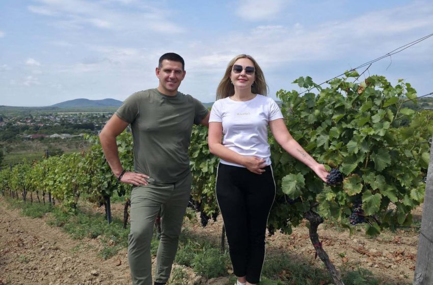  Виноробня KRITSKI планує розширити виноградники до 25 гектарів та створювати нові українські вина