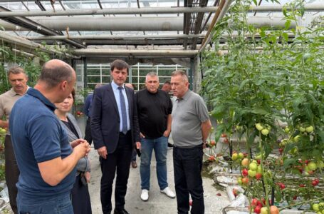 Для тепличного господарства розробляють механізми часткового відшкодування капітальних інвестицій