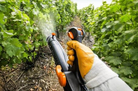 Понад 100 засобів захисту рослин та добрив отримали державну реєстрацію