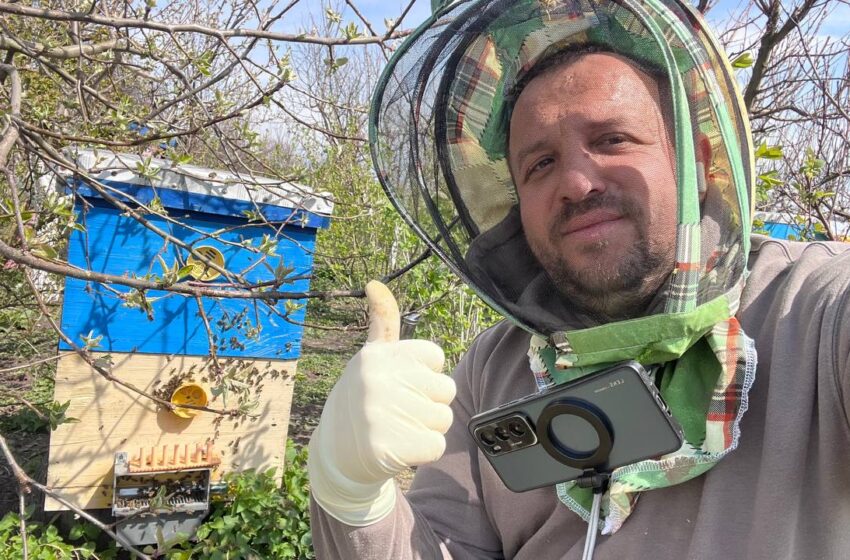  Вишня змінює географію – на Рівненщині вирощують промисловий вишневий сад