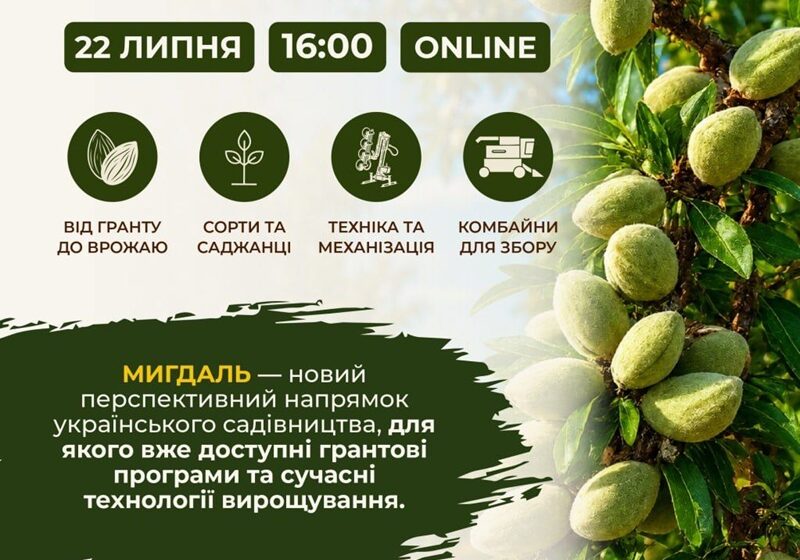  22 липня онлайн-вебінар: Мигдаль в Україні — нові можливості для агробізнесу