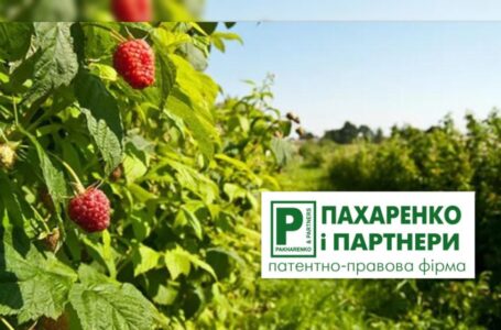 Як інтелектуальна власність допомагає українському садівничому бізнесу вистояти під час війни