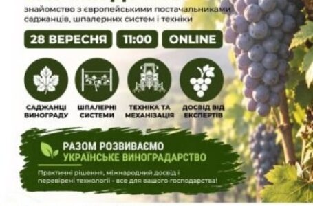 Українським виноградарям пропонують вивчити європейський досвід