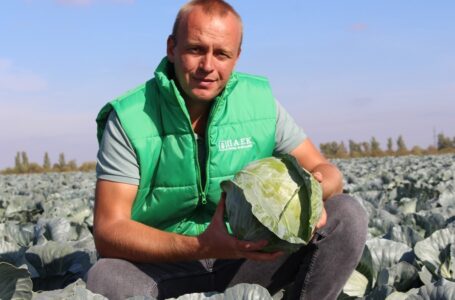 ПОВЕРНУТИ ПОЛЕ ДО ЖИТТЯ