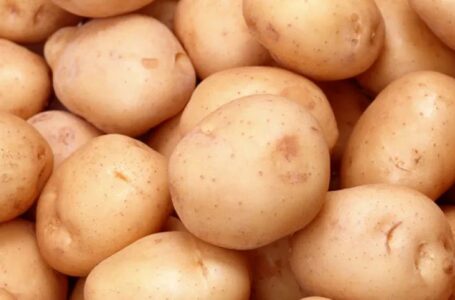 Український сорт картоплі увійшов до п’ятірки найкращих на міжнародних демополях