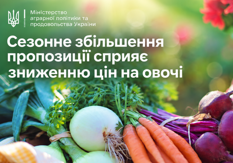  Сезонне збільшення пропозиції сприяє зниженню цін на овочі