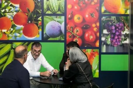 Китай та Об’єднані Арабські Емірати — країни-гості виставки Fruit Attraction